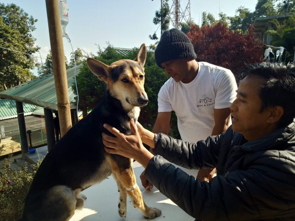 Refuge Max & Chipy Inde